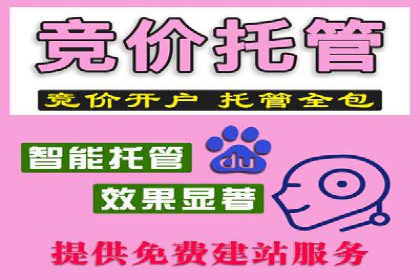 SEM代运营托管公司案例深度解读